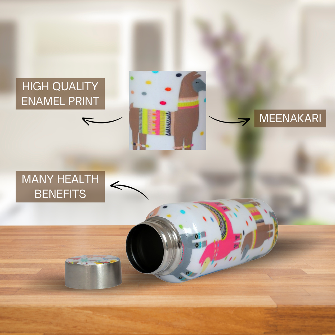 Handcrafted Eco-Friendly Meenakari Steel Bottle(750 ML)