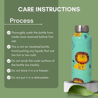 Handcrafted Eco-Friendly Meenakari Steel Bottle(750 ML)