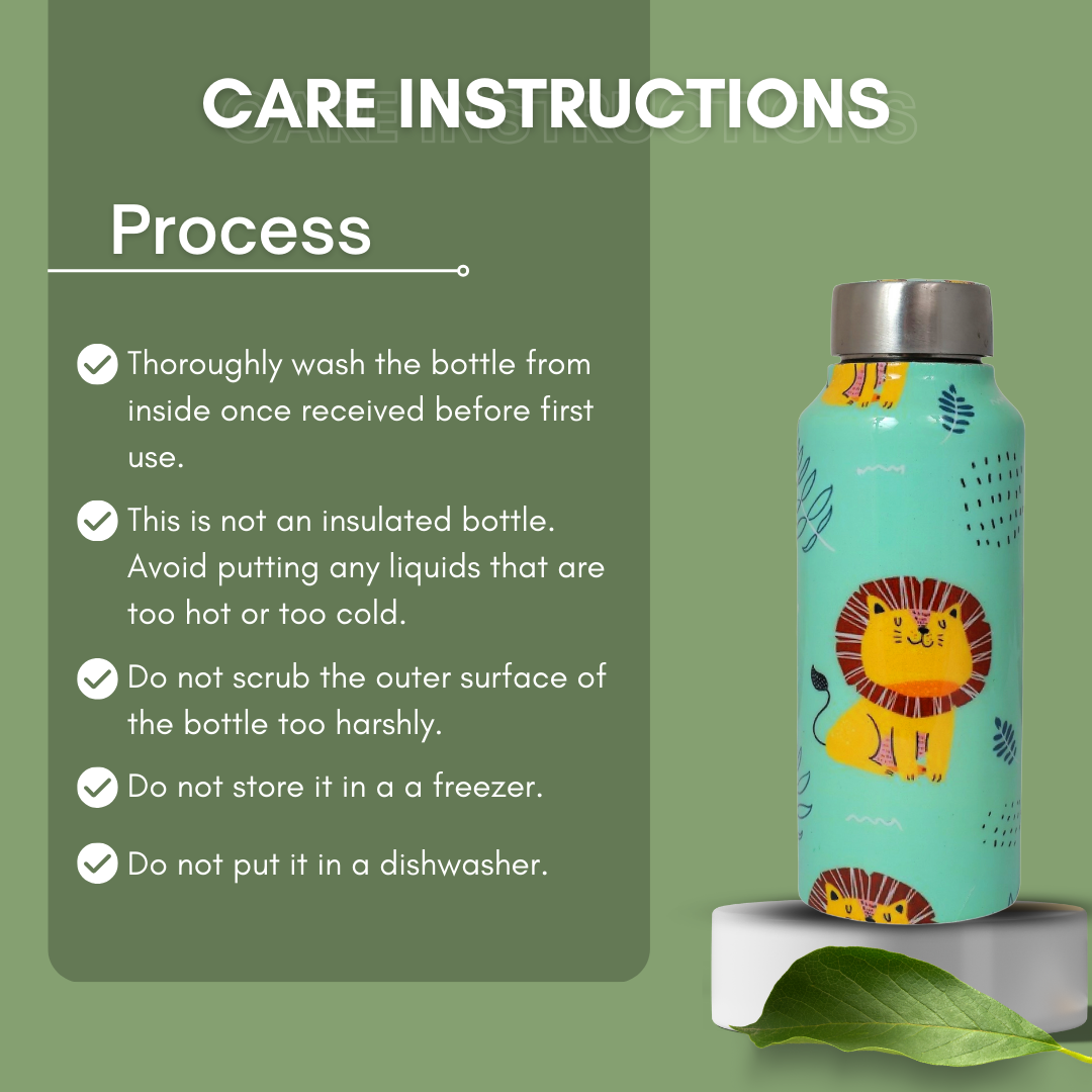 Handcrafted Eco-Friendly Meenakari Steel Bottle(750 ML)