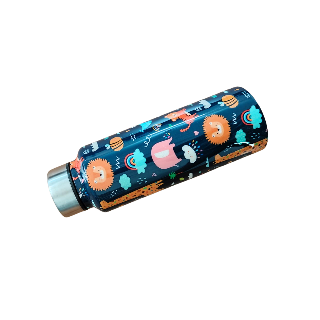 Handcrafted Eco-Friendly Meenakari Stainless Steel Bottle(750 ML)