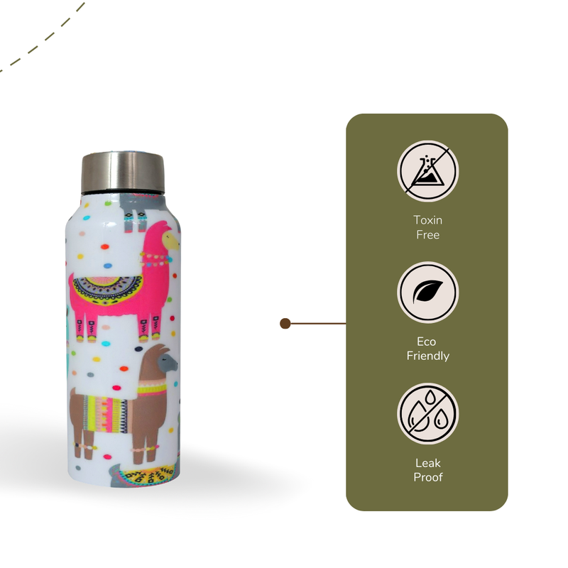 Llama Print Handcrafted Eco-Friendly Meenakari Steel Bottle(750 ML)