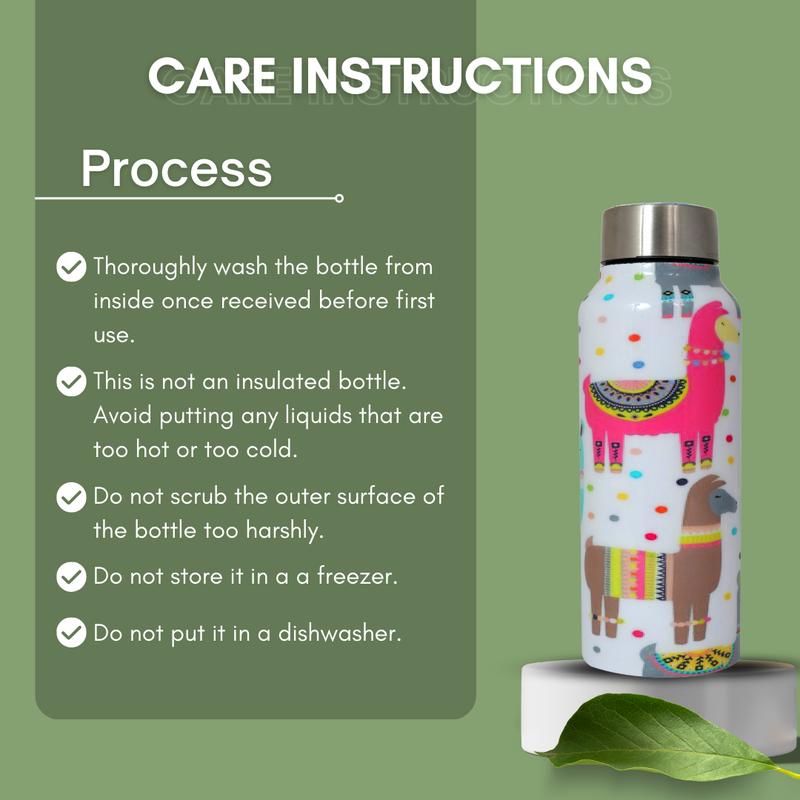 Handcrafted Eco-Friendly Meenakari Stainless Steel Bottle(750 ML)-Llama