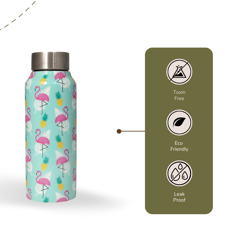 Handcrafted Eco-Friendly Meenakari Stainless Steel Bottle(750 ML)-Flamingo
