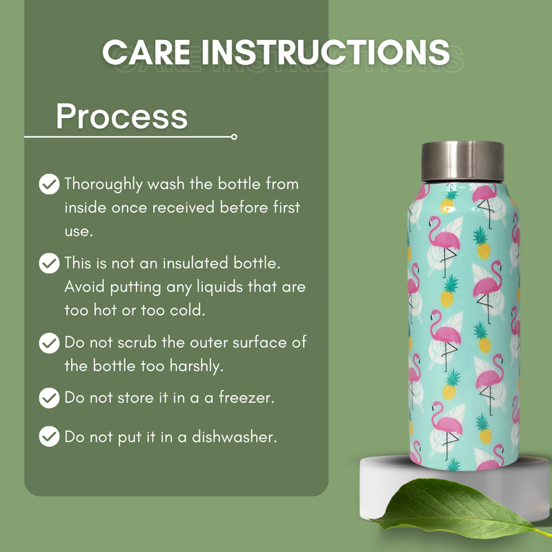 Handcrafted Eco-Friendly Meenakari Stainless Steel Bottle(750 ML)-Flamingo