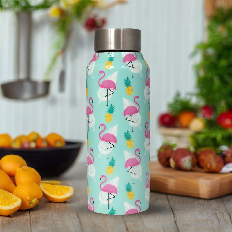 Handcrafted Eco-Friendly Meenakari Stainless Steel Bottle(750 ML)-Flamingo