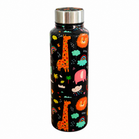 Handcrafted Eco-Friendly Meenakari Steel Bottle(750 ML)