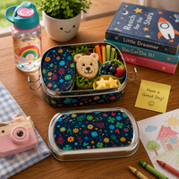 Eco-Friendly Meenakari Steel Tiffin Box