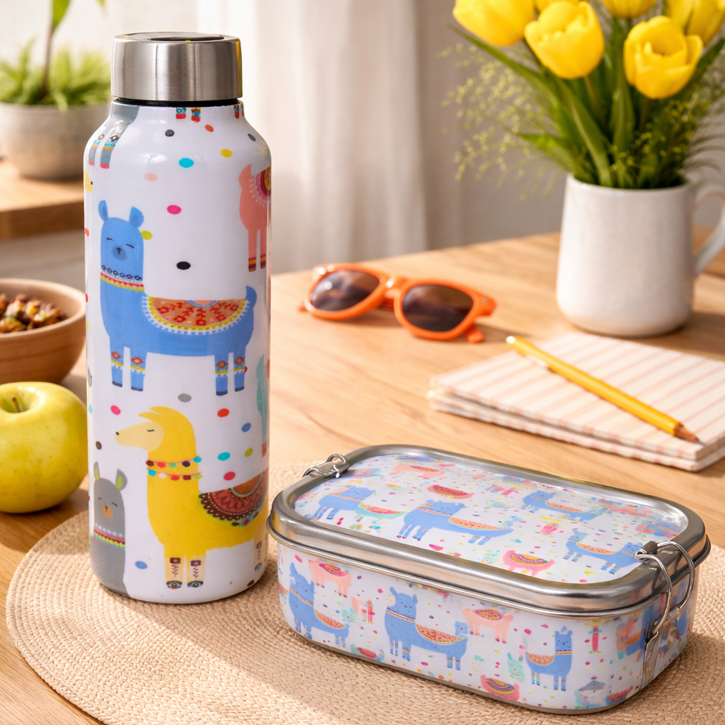 Stainless Steel Lunch Box & Water Bottle (750Ml) Set