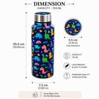 Handcrafted Eco-Friendly Meenakari Steel Bottle(750 ML)