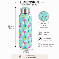 Handcrafted Eco-Friendly Meenakari Steel Bottle(750 ML)