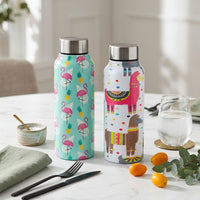 Handcrafted Eco-Friendly Meenakari Steel Bottle(750 ML)| Set of 2