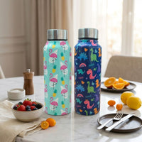 Handcrafted Eco-Friendly Meenakari Steel Bottle(750 ML)| Set of 2