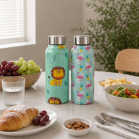 Handcrafted Eco-Friendly Meenakari Steel Bottle(750 ML)| Set of 2
