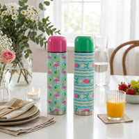 Stainless Steel Vacuum Insulated Thermos Bottle for Hot & Cold Beverages (Set of 2)