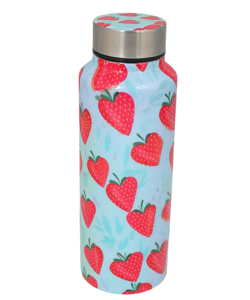 Strawberry Print Handcrafted Eco-Friendly Meenakari Steel Bottle(750 ML)