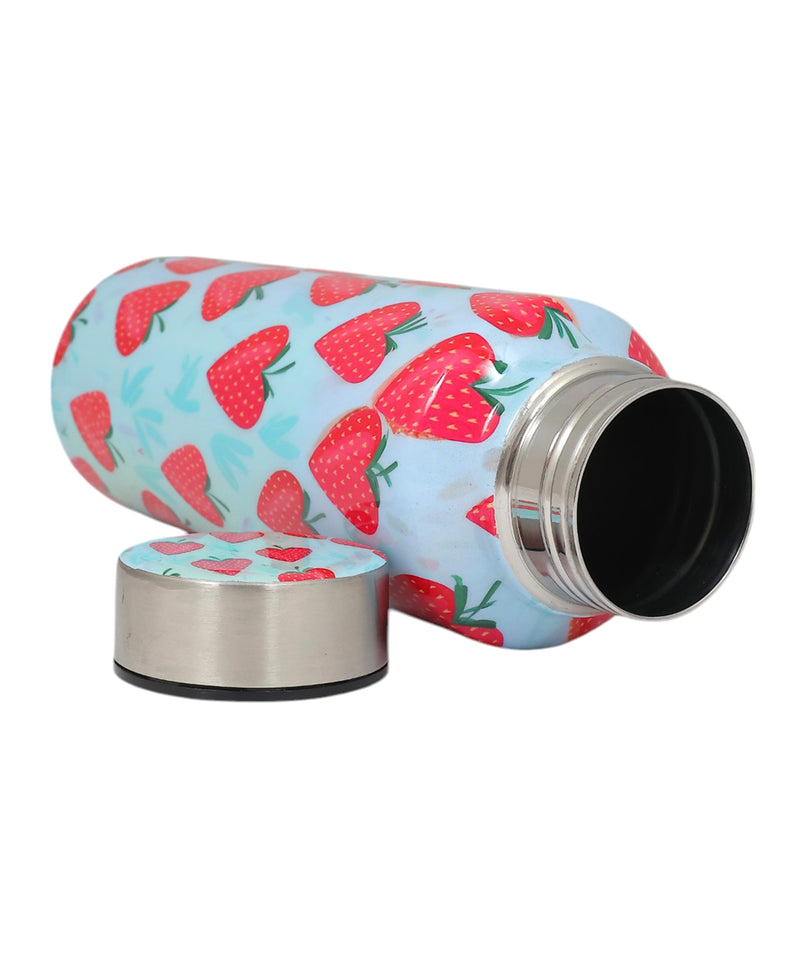 Handcrafted Eco-Friendly Meenakari Stainless Steel Bottle(750 ML)-Strawberry