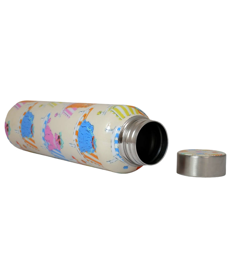 Handcrafted Eco-Friendly Meenakari Stainless Steel Bottle(1L)-Sunbathing dog