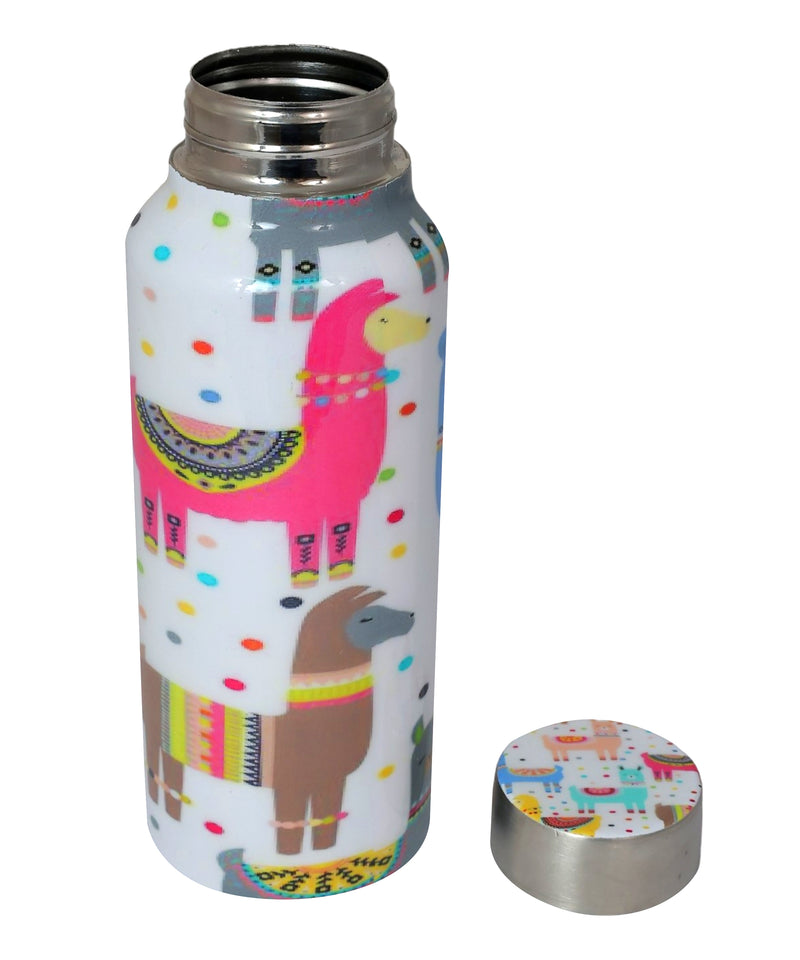 Handcrafted Eco-Friendly Meenakari Stainless Steel Bottle(750 ML)-Llama
