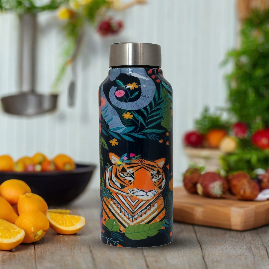 Handcrafted Eco-Friendly Meenakari Steel Bottle(750 ML)| Set of 2