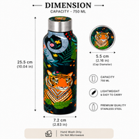 Handcrafted Eco-Friendly Meenakari Steel Bottle(750 ML)
