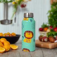 Handcrafted Eco-Friendly Meenakari Steel Bottle(750 ML)| Set of 2