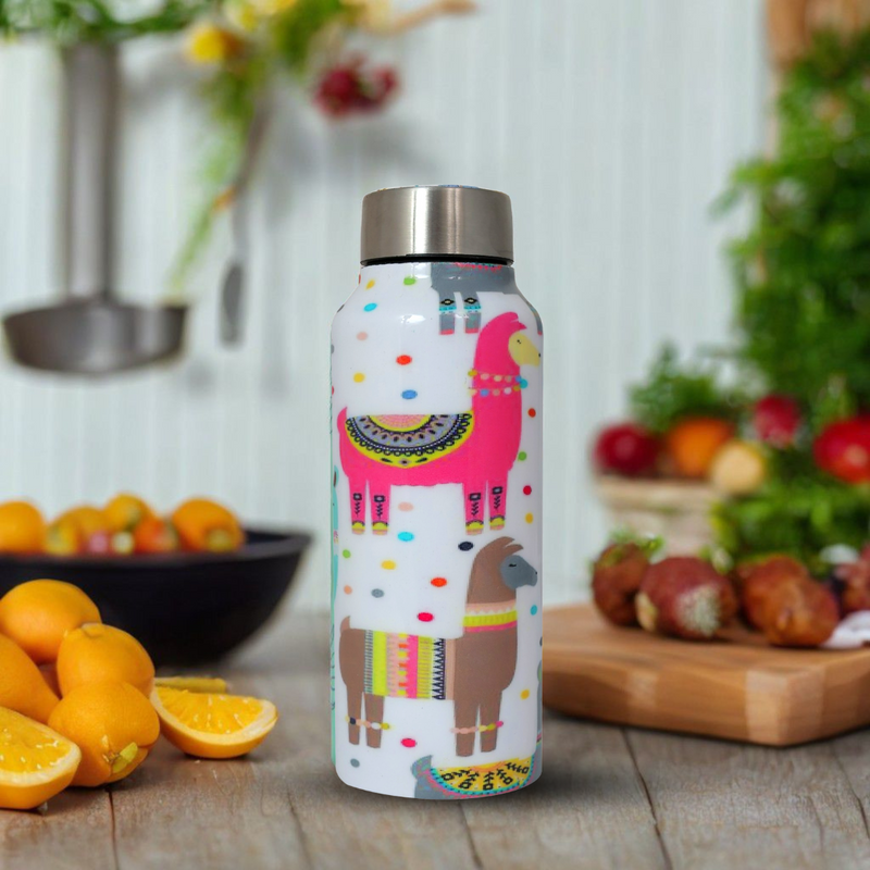 Handcrafted Eco-Friendly Meenakari Stainless Steel Bottle(750 ML)-Llama