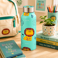 Handcrafted Eco-Friendly Meenakari Steel Bottle(750 ML)