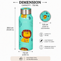 Handcrafted Eco-Friendly Meenakari Steel Bottle(750 ML)