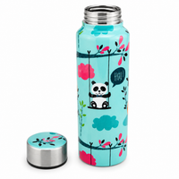 Handcrafted Eco-Friendly Meenakari Steel Bottle(750 ML)