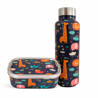 Stainless Steel Lunch Box & Water Bottle (750Ml) Set