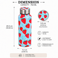 Handcrafted Eco-Friendly Meenakari Steel Bottle(750 ML)