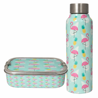 Stainless Steel Lunch Box & Water Bottle (750Ml) Set