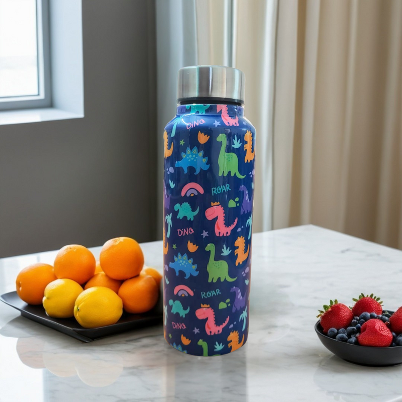 Handcrafted Eco-Friendly Meenakari Stainless Steel Bottle(750 ML)-Dino