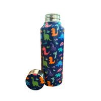 Handcrafted Eco-Friendly Meenakari Steel Bottle(750 ML)| Set of 2