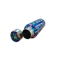 Handcrafted Eco-Friendly Meenakari Stainless Steel Bottle(750 ML)-Dino