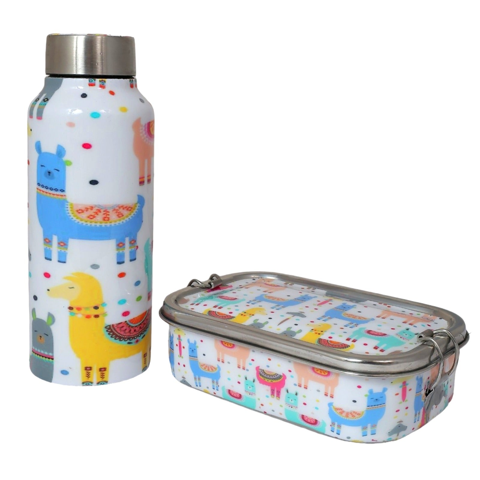 Stainless Steel Lunch Box & Water Bottle (750Ml) Set